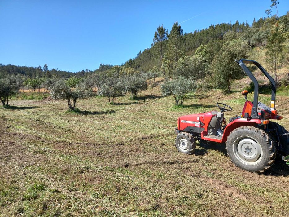 Limpeza  de terrenos