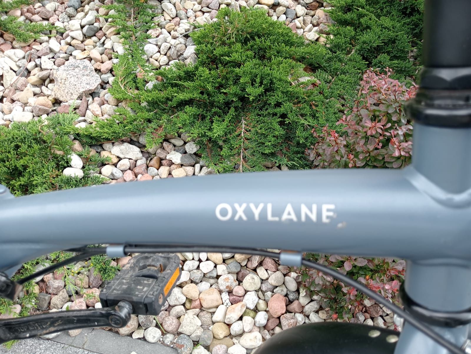 Rower składany OXYLANE Fold 120