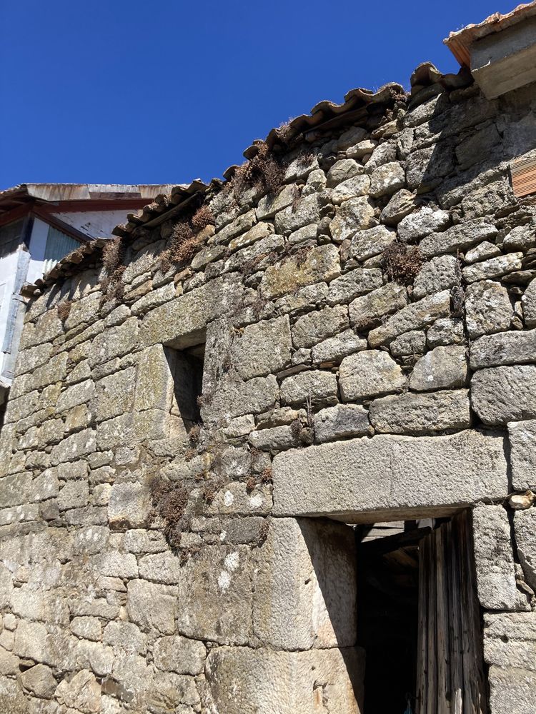 Casa em pedra para reconstrução em Avões - Lamego