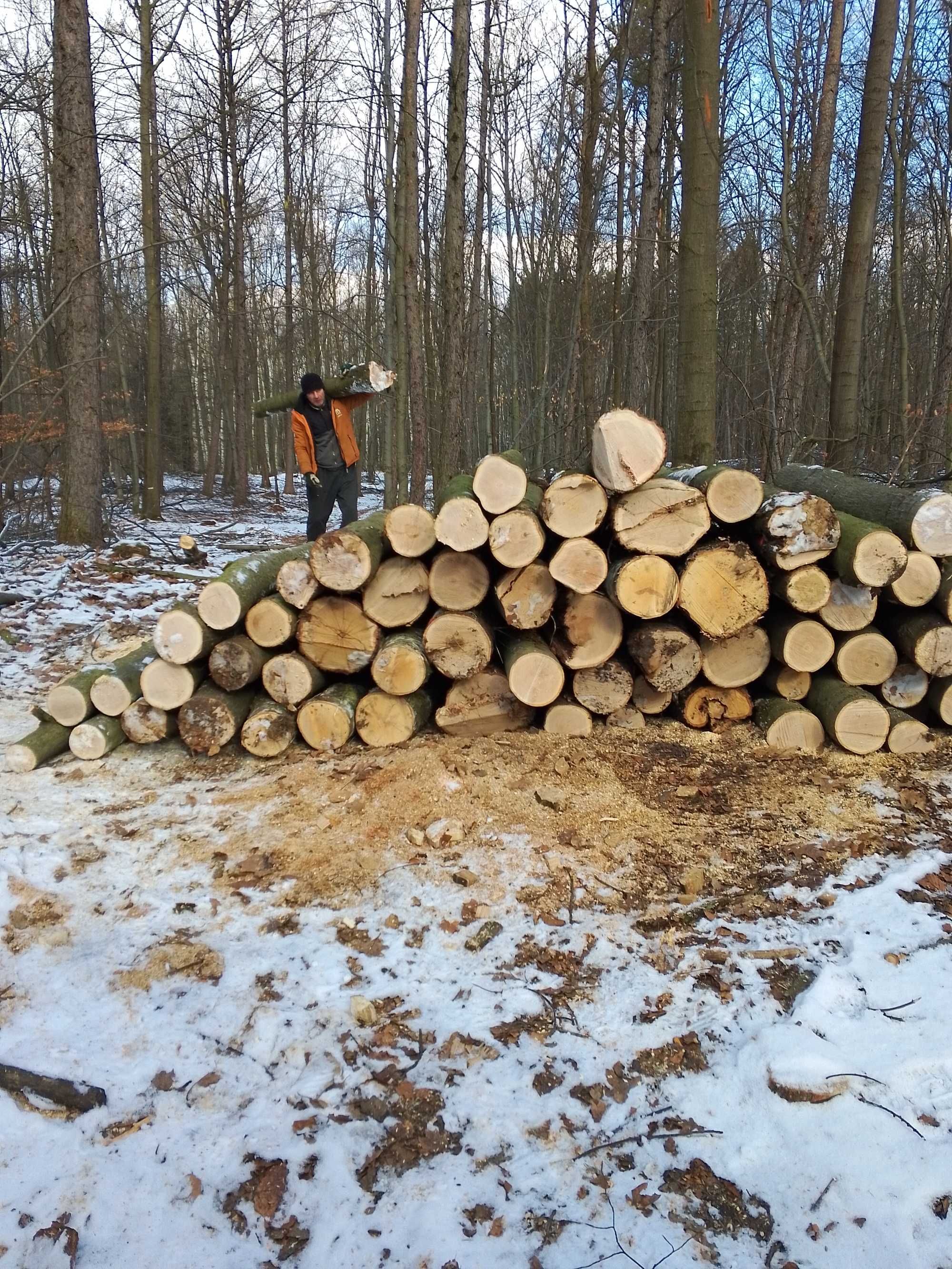 Sprzedam drewno kominkowe