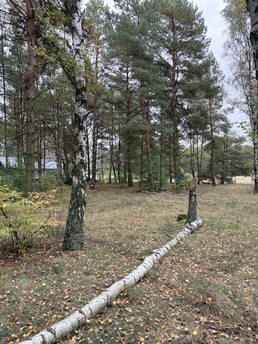 Działka budowlana z WZ