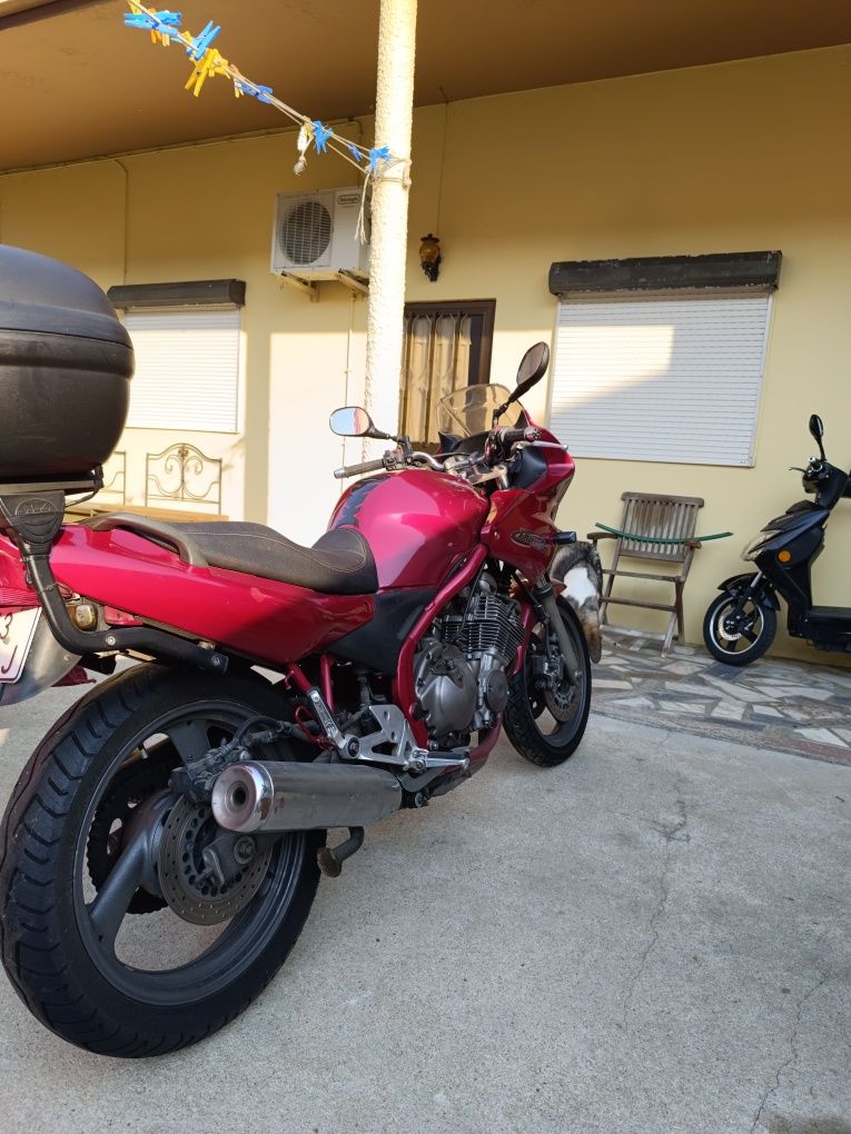 Mota XJ6 Diversion