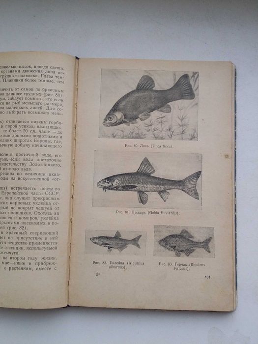 Комнатный аквариум