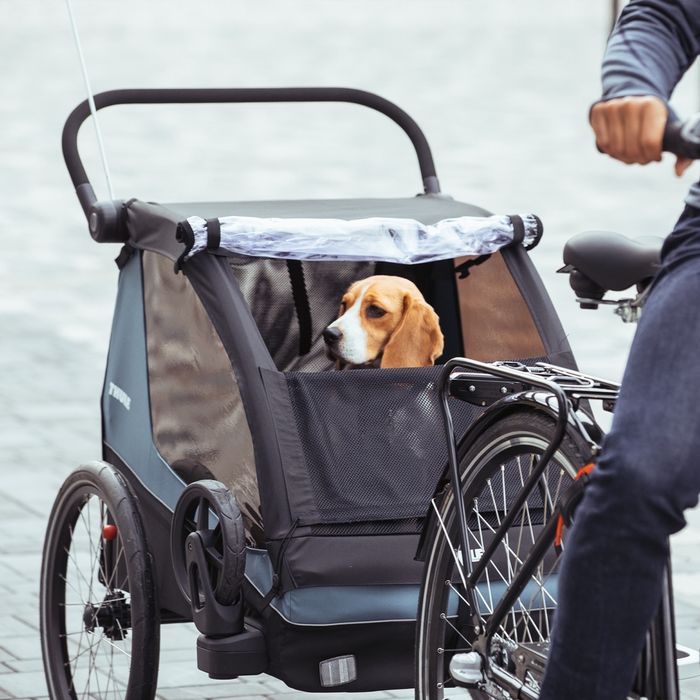 NOWY Thule Courier 2-miejscowa przyczepka rowerowa do przewozu dzieci