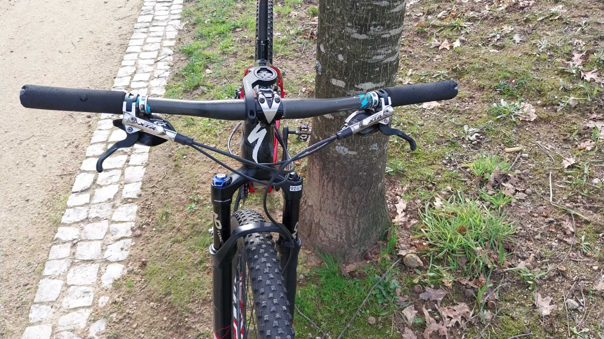 Specialized HT carbono 29