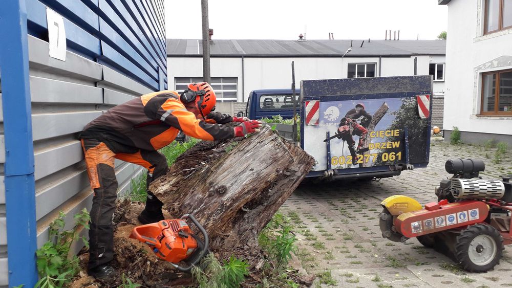 cięcie żywopłotów Formowanie krzewów ozdobnych pielęgnacja ogrodu
