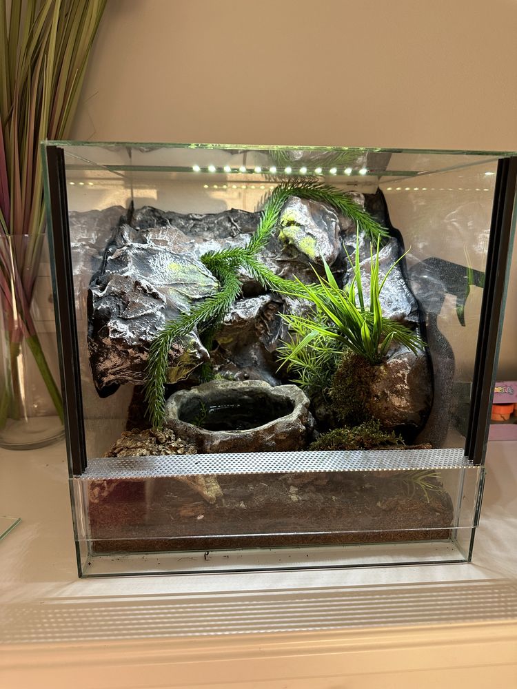 Terrarium przeszklone z oswietleniem