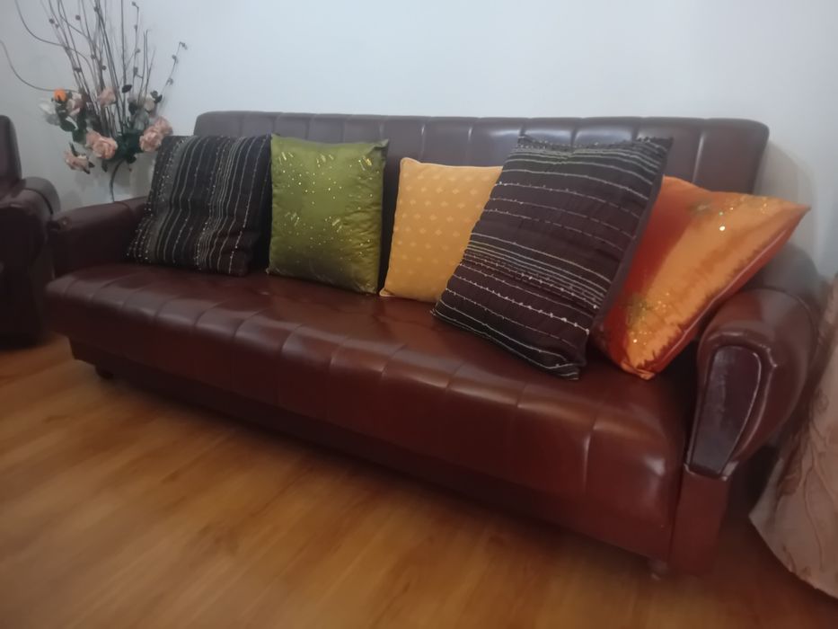 sofás em pele castanha