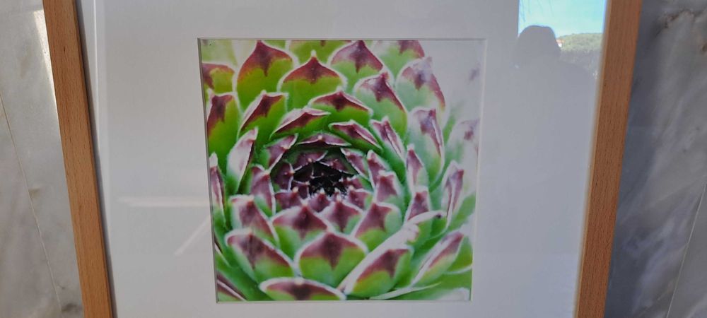 Quadro com foto e moldura madeira