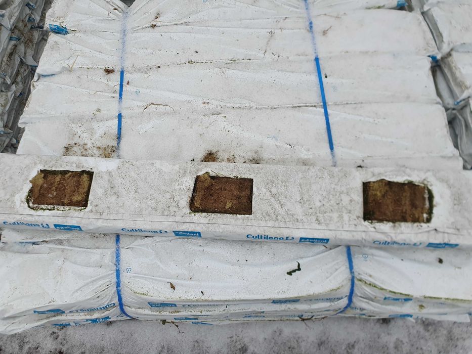 Oddam za darmo  WEŁNA