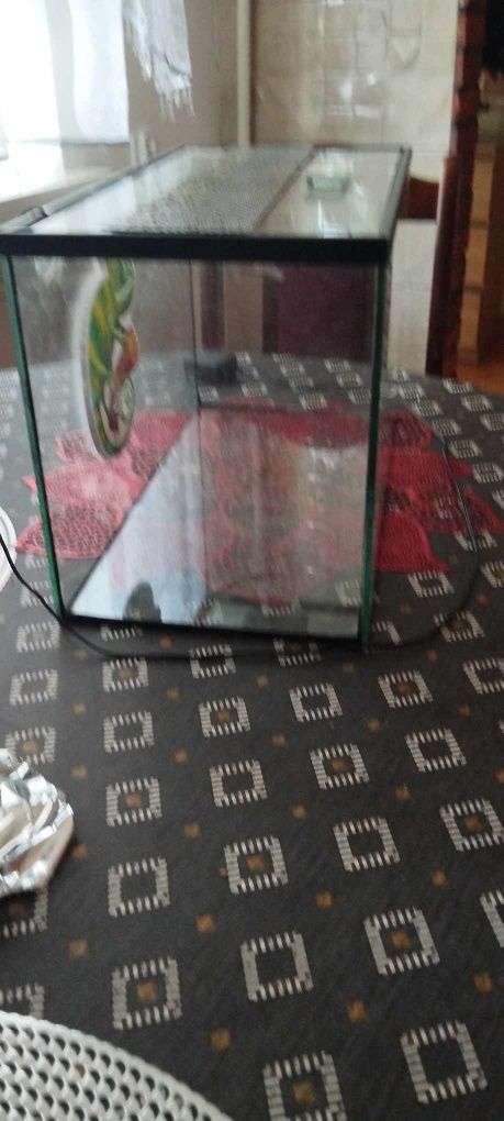 Sprzedam Terrarium