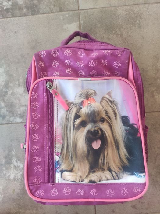 Шкільний рюкзак фірми Bagland для дівчинки