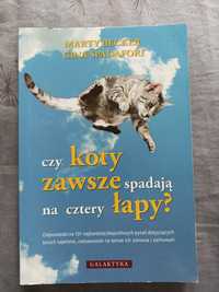 Czy koty zawsze spadają na cztery łapy