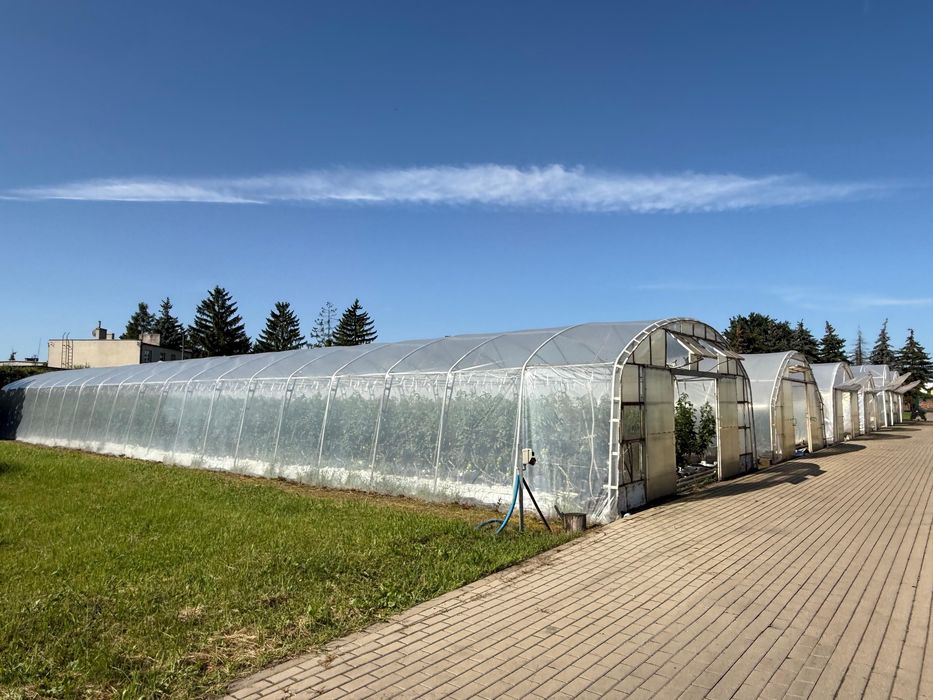 Tunele Foliowe 6 szt.