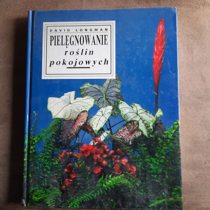 Pielęgnowanie  roślin pokojowych