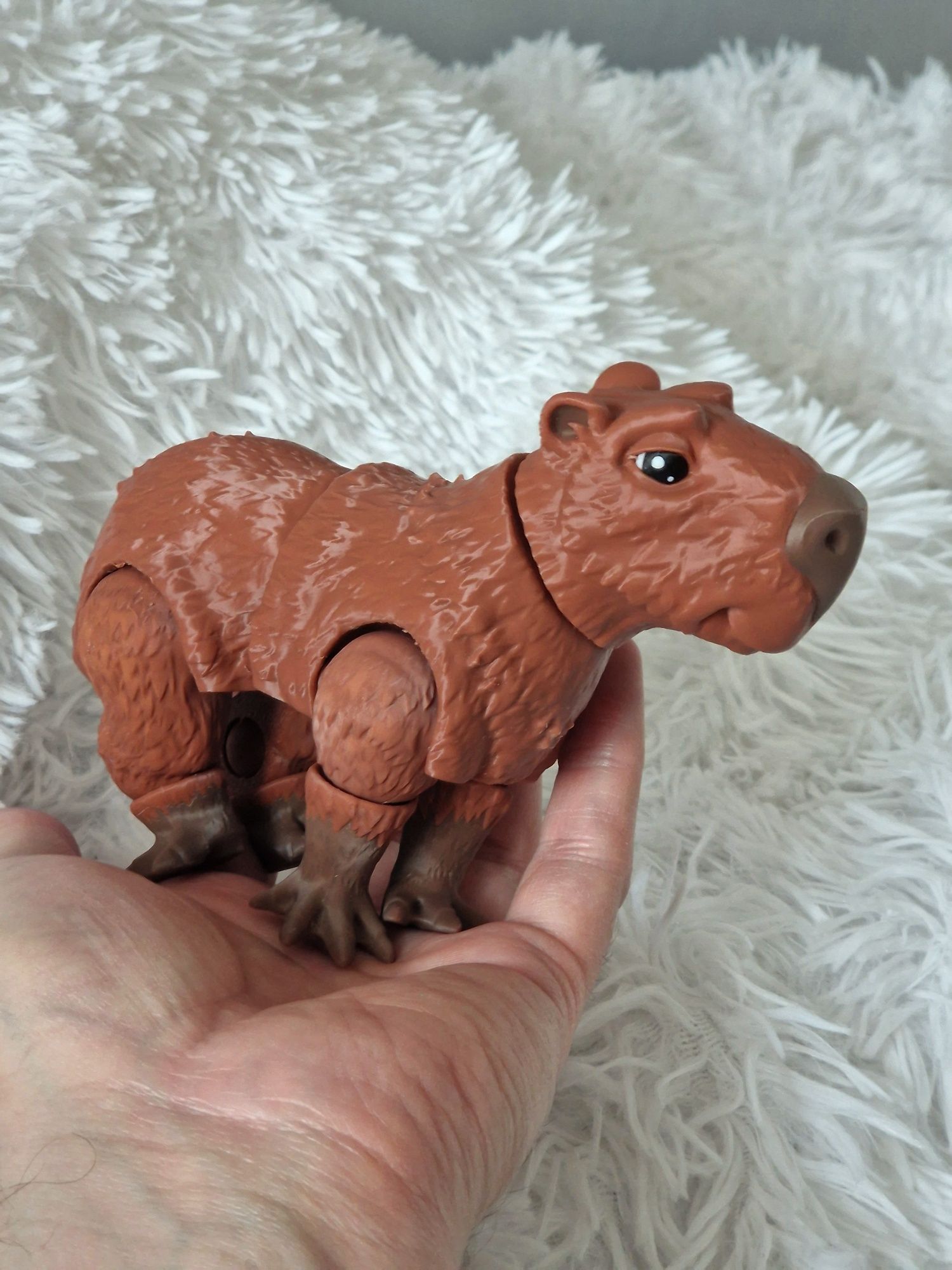 Felxi kapibara, capybara piękna, duża!