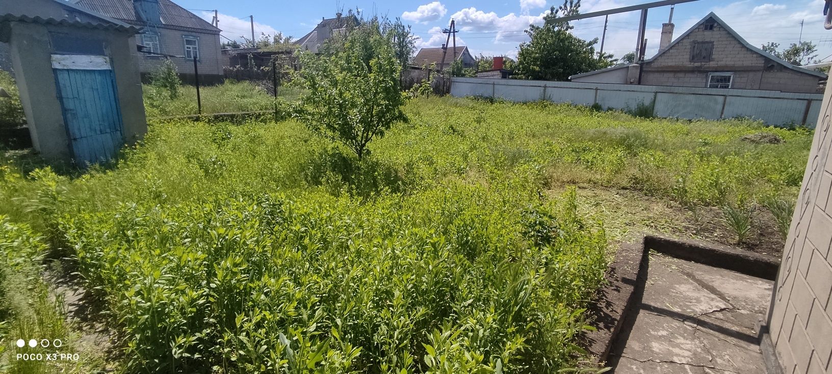 Покос травы. Быстро качественно. Недорого. В удобное для вас время