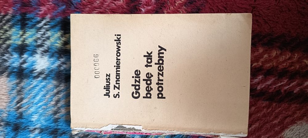 Książka gdzie będę tak potrzebny Znamierowski