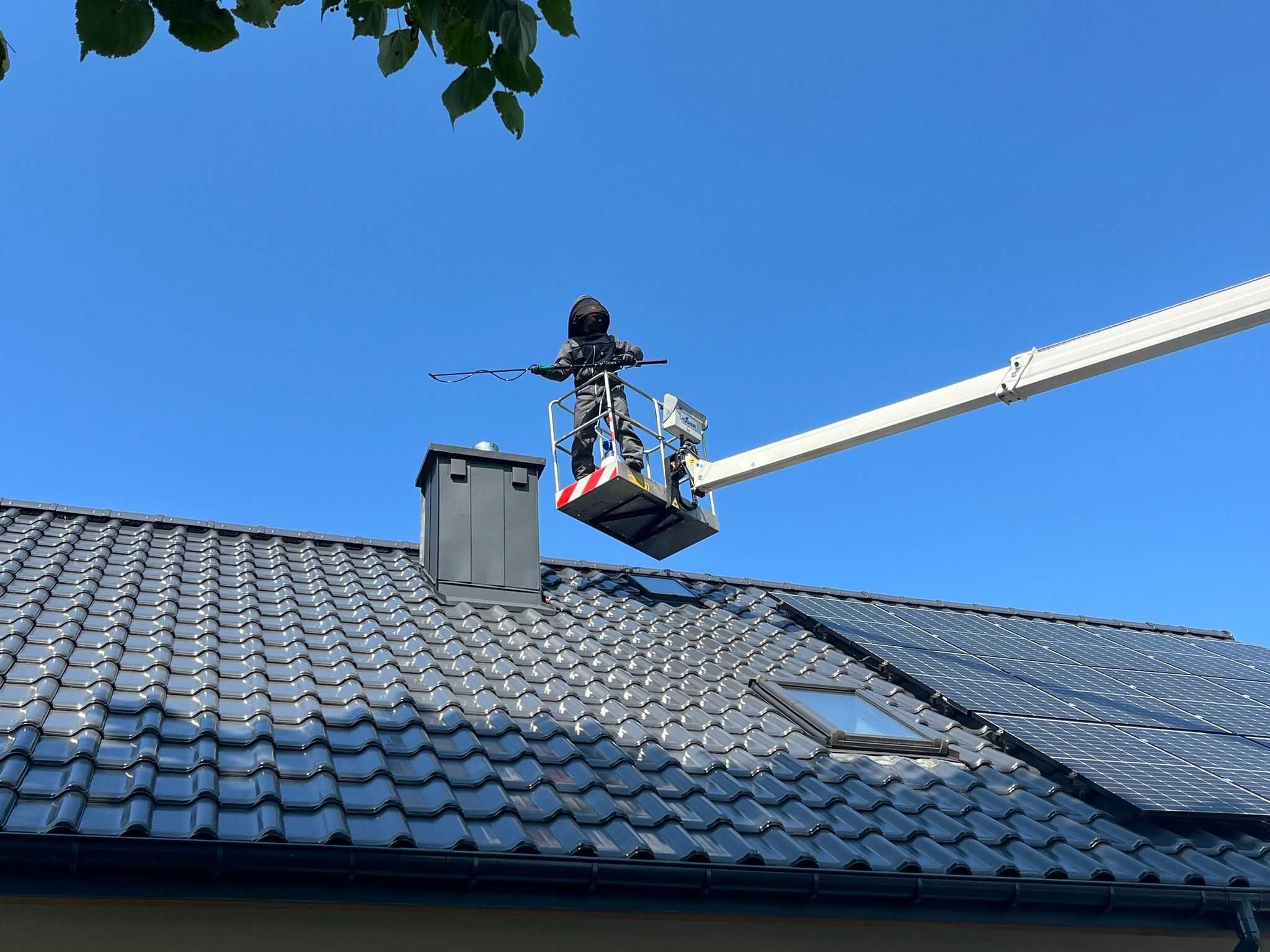 Usuwanie OS i SZERSZENI Likwidacja gniazd zwalczanie owadów gwarancja