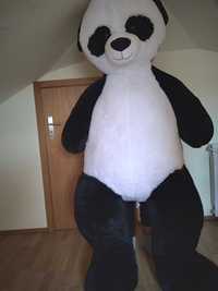 Panda gigante em peluche