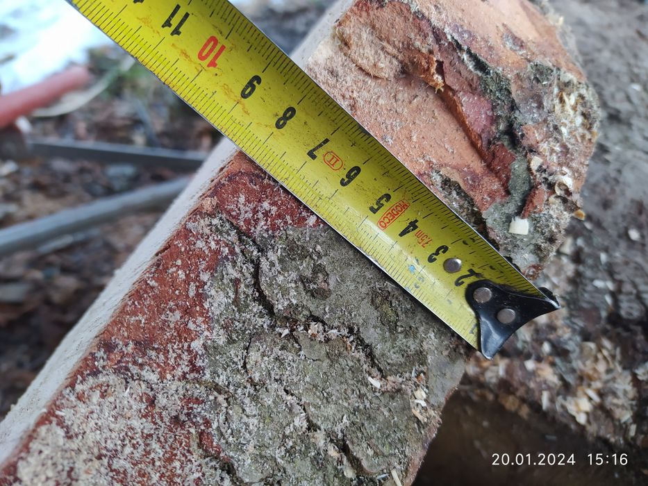 Krążki plastry talarki drewna jodła jesion