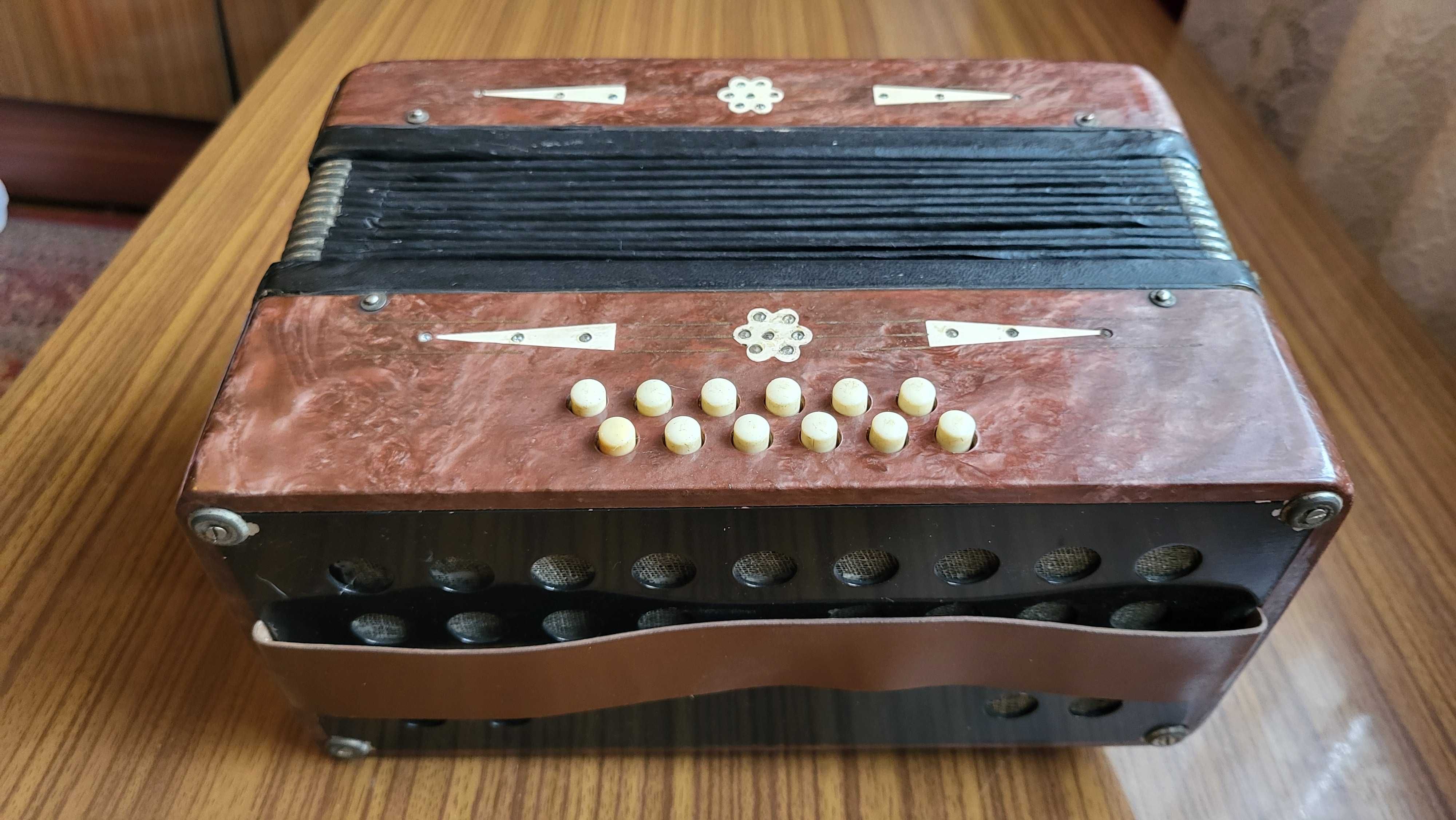 Drewniany akordeon Małysz