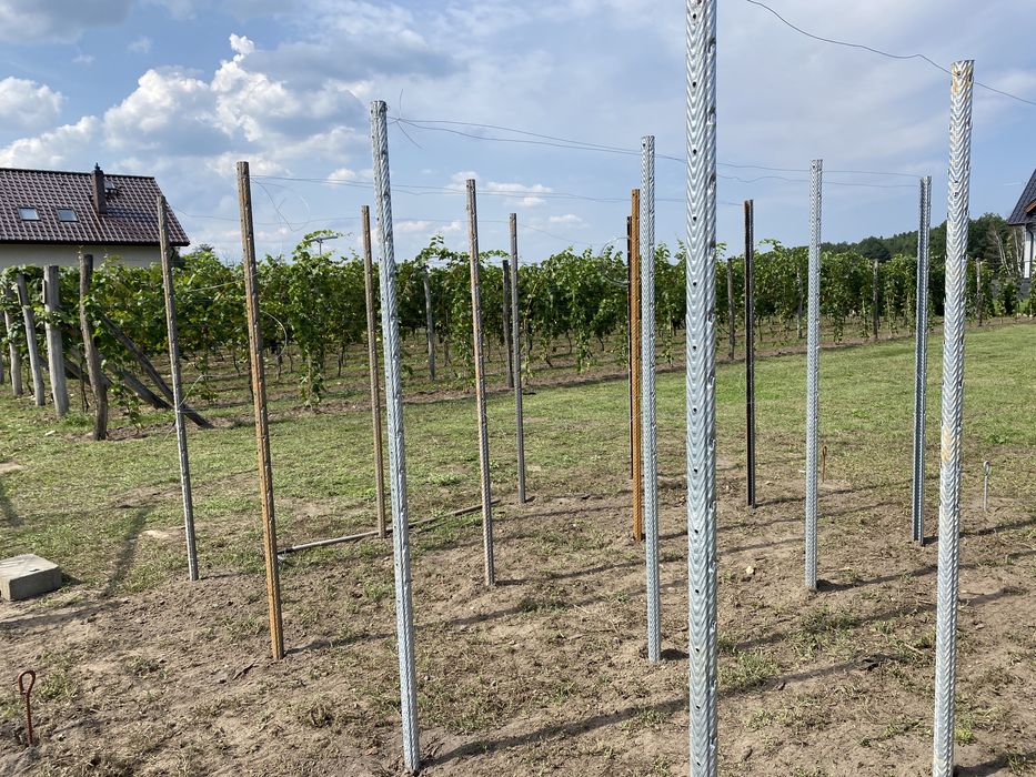 Słupki do winnic - różne rodzaje