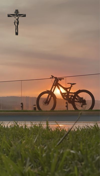 Specialized demo 8 fight II (2)