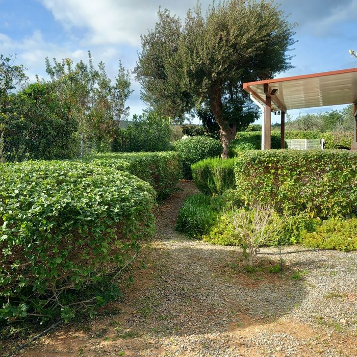 Manutenção de jardins e limpezas de terrenos