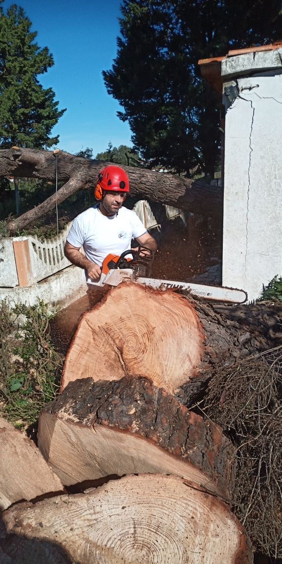 Aluguer de motosserras com operador.