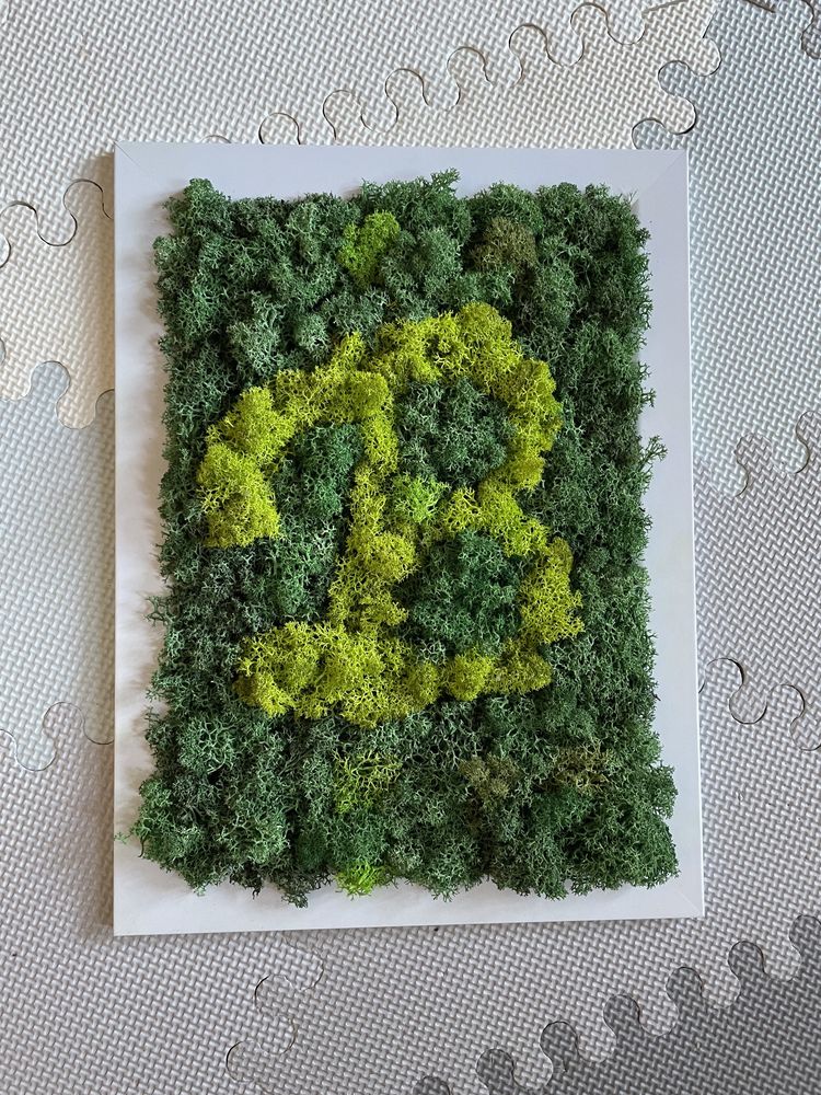 Obraz z mchu chrobotek/ litera