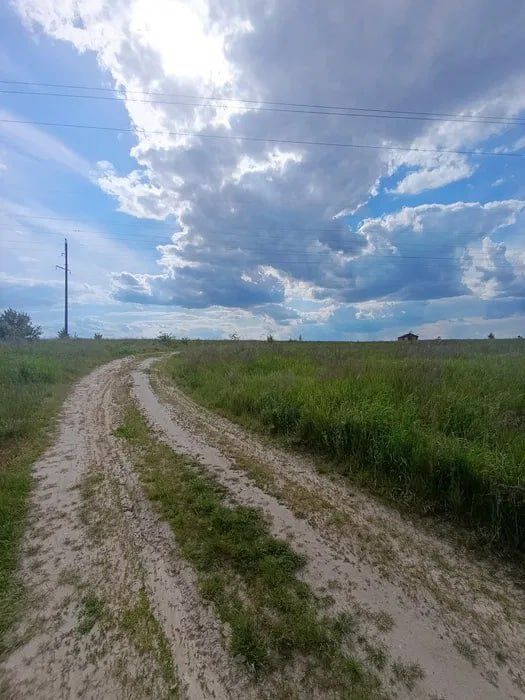 Земля 12 соток садівництво
