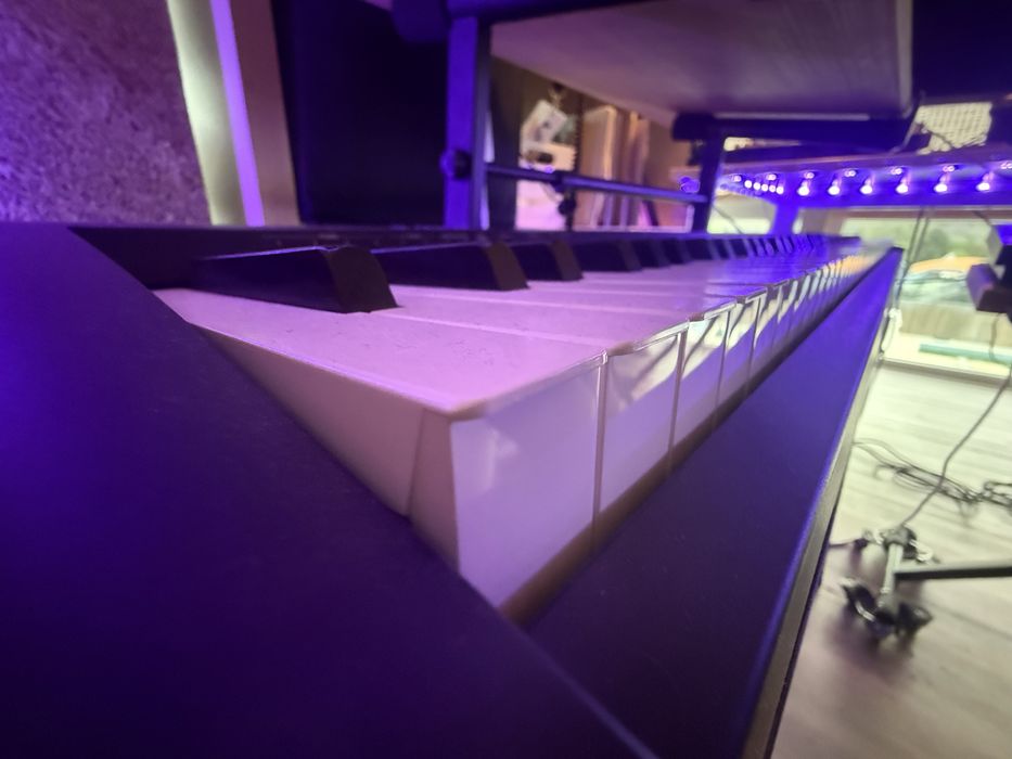 Roland FP-10 como novo