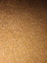 Продам пшеницю 6грн кілограм
