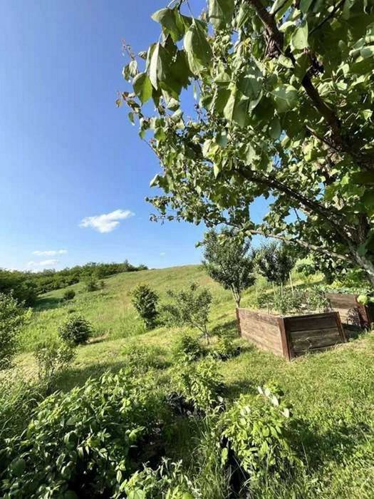 Від власника чудовий будинок. Музичі