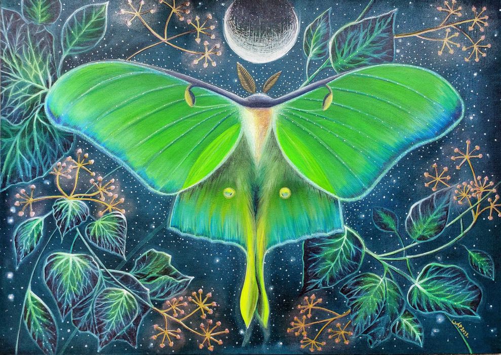 Obraz autorski "Actias luna" farby akrylowe na płycie 50x70 cm.