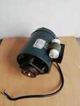 Motor Eléctrico.