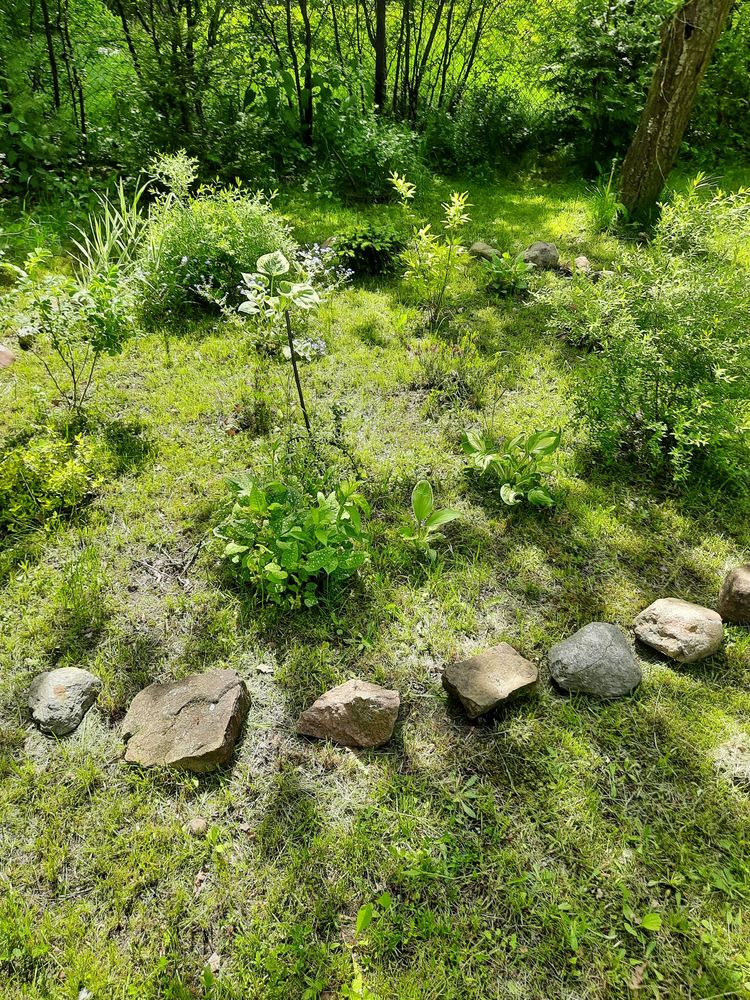 Dzialka ROD Nowosolna