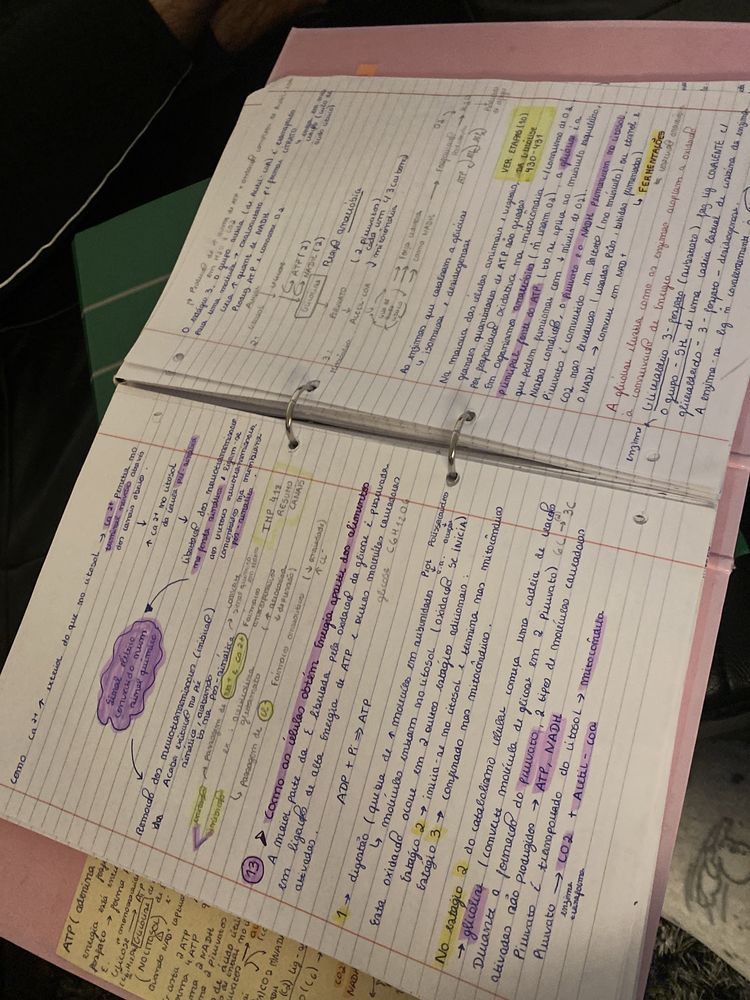 apontamentos/ resumos  de preparaçao para exame de medicina