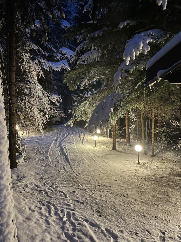 Dom w górach domek w górach domek z kominkiem