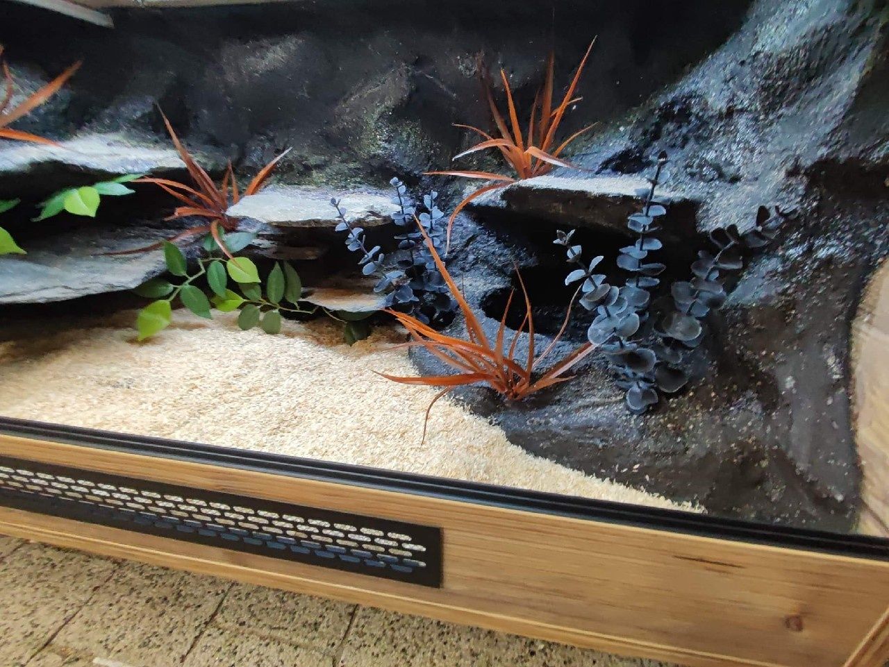 Terrarium z płyty meblowej wąż pyton boa KOŚCIAN