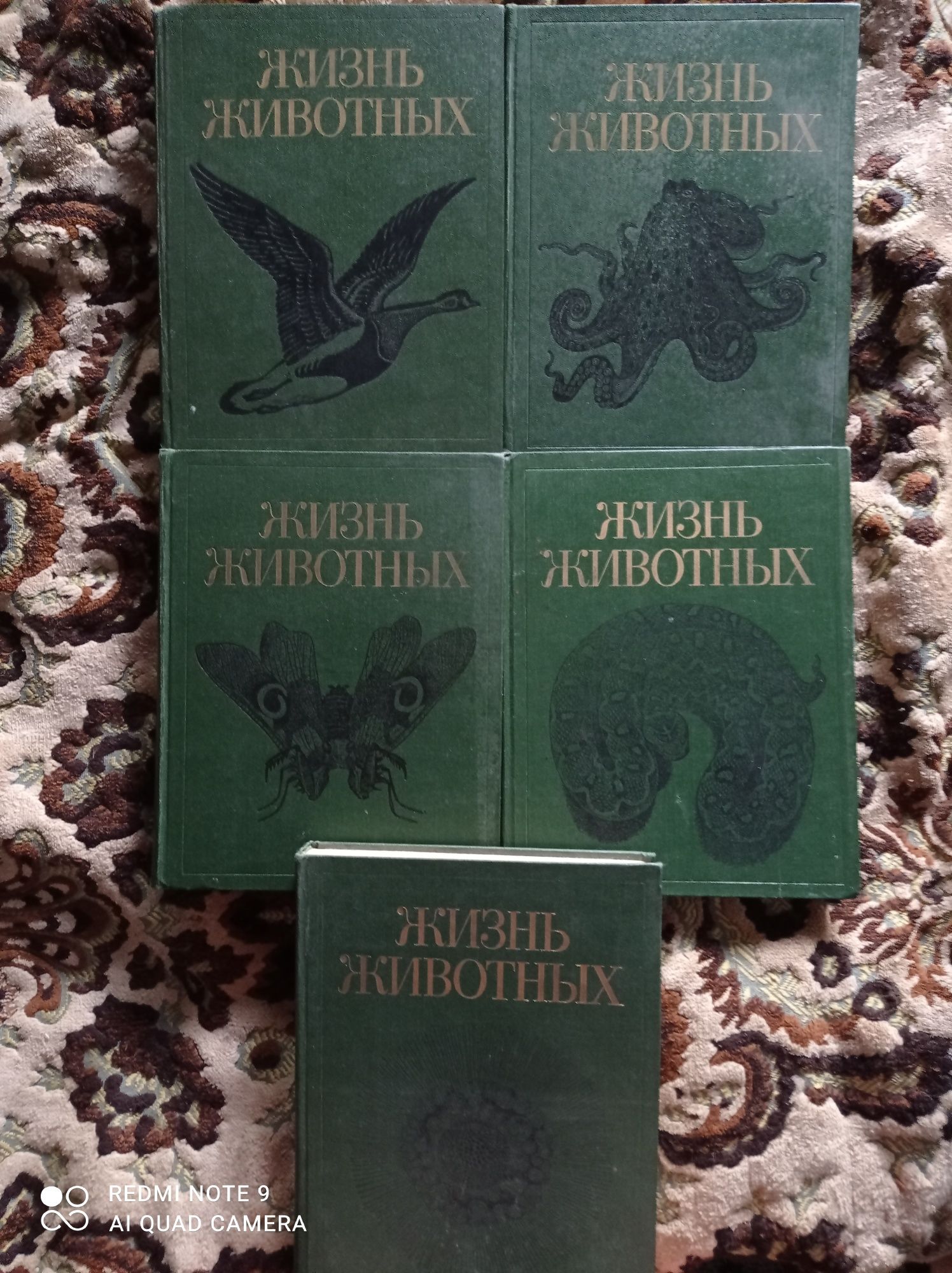 Жизнь Животных Энциклопедия