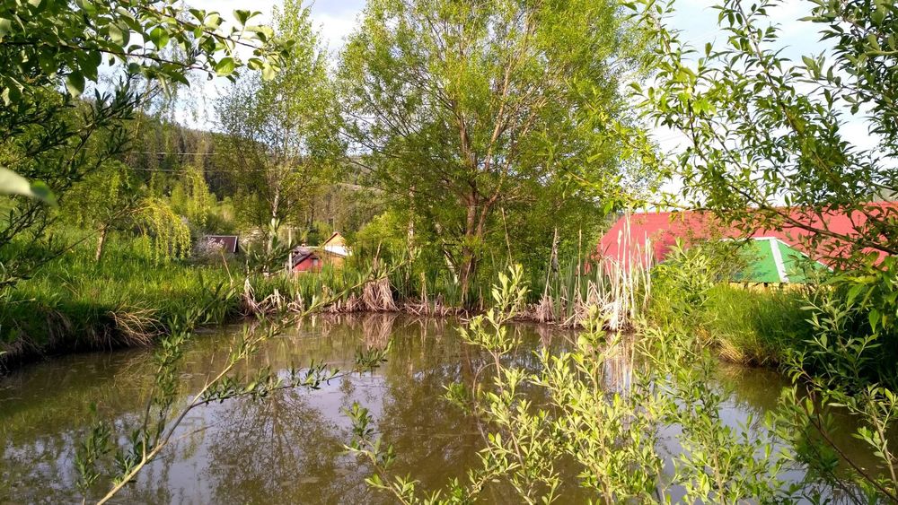 Житло, проживання, відпочинок у Славське