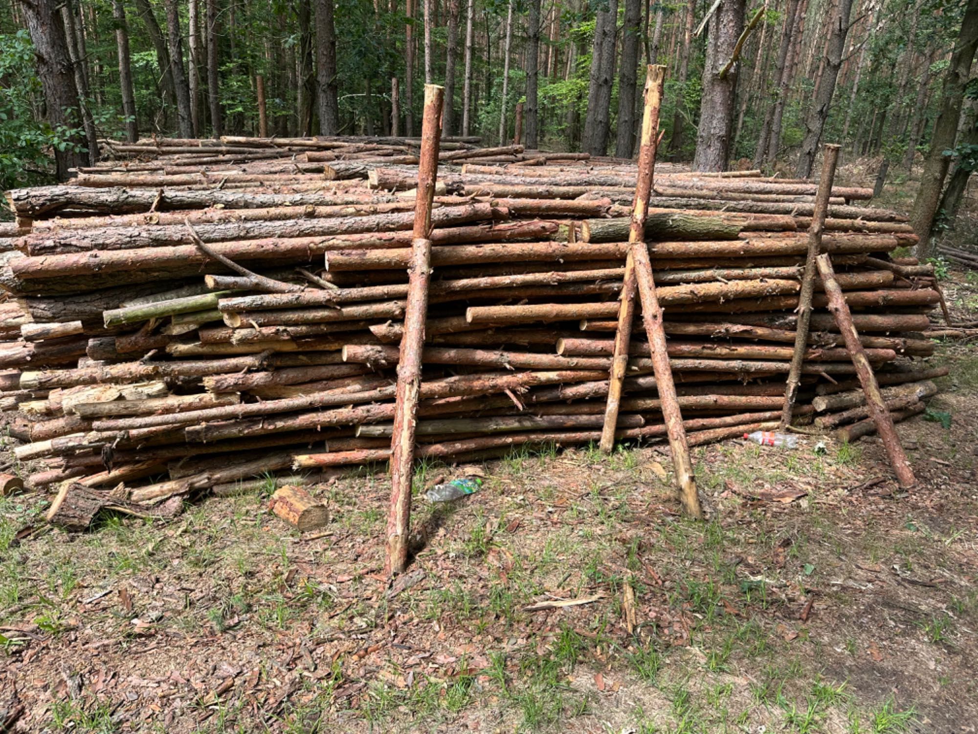 Drewno opałowe Gałęziówka