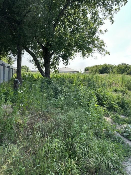 Обуховка.Ділянка без будівлі