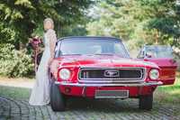 Ford Mustang do ślubu / samochód / kabriolet / klasyk / cabriolet