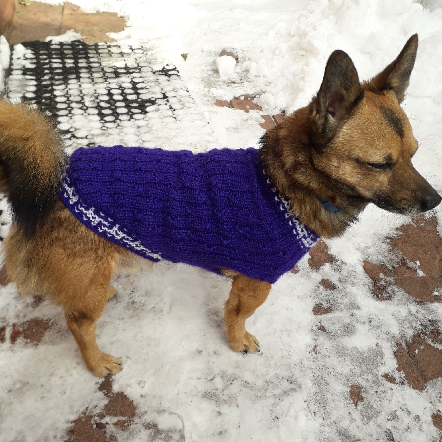Комбинезон для  собак,  вязаные свитера для собак и кошек
