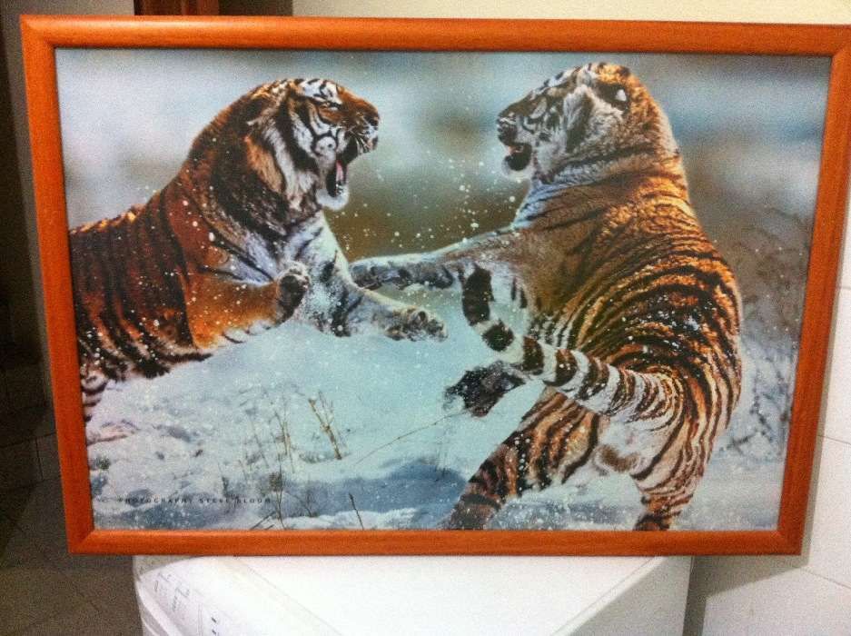 Vendo quadros de sala