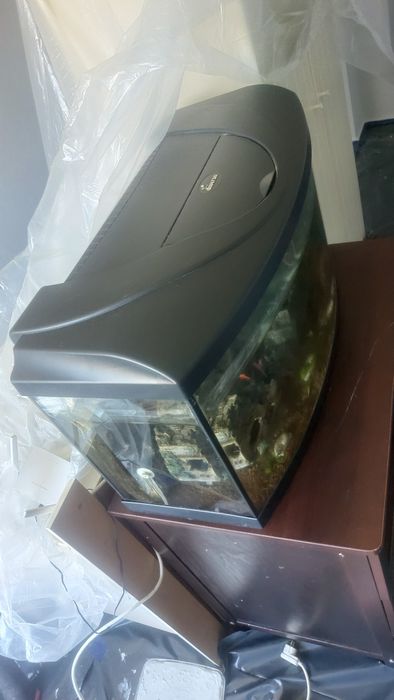 Akwarium 120 litrów z wyposarzeniem