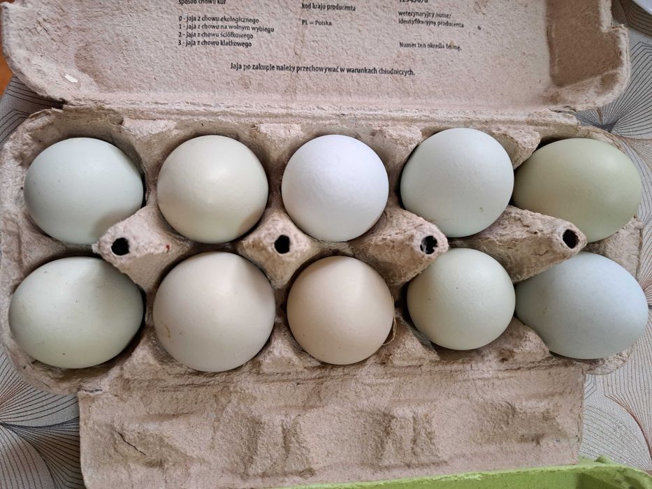 Jajka Wiejskie i jajka zielone bez cholesterolu